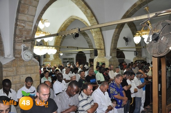 trawe7 7san bek 715 (9).JPG